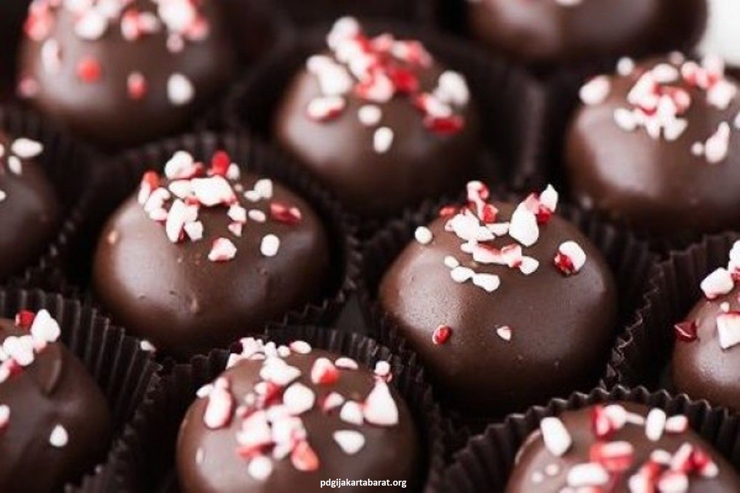 Kue Natal yang Enak, Bisa di Buat Sendiri di Rumah